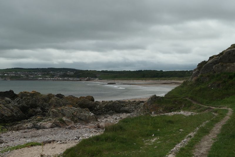 Coming into Cullen