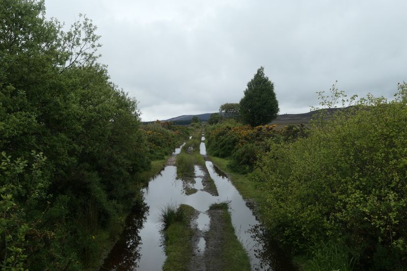 Waterlogged path