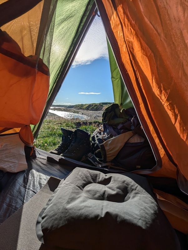 The view from my tent in the morning